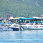 Cano đi Con Sẻ Tre