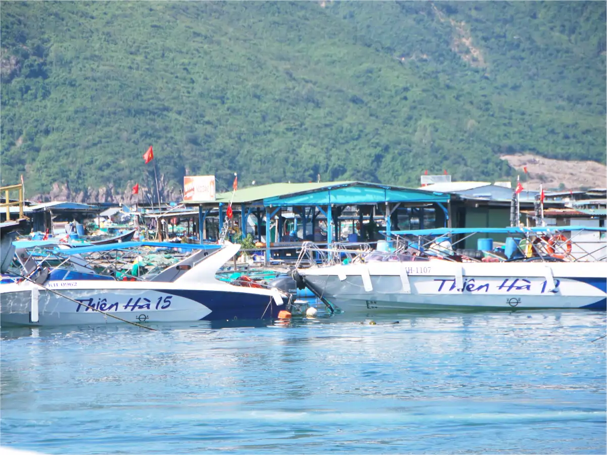 Cano Thien Ha 15-12 Cano đi Con Sẻ Tre - Ảnh 1