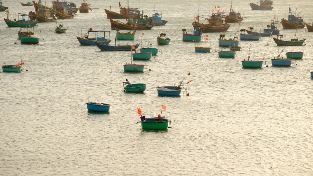 Hải Sản Nha Trang: Ăn Ở Đâu Ngon Hơn — Chợ Hay Nhà Hàng?