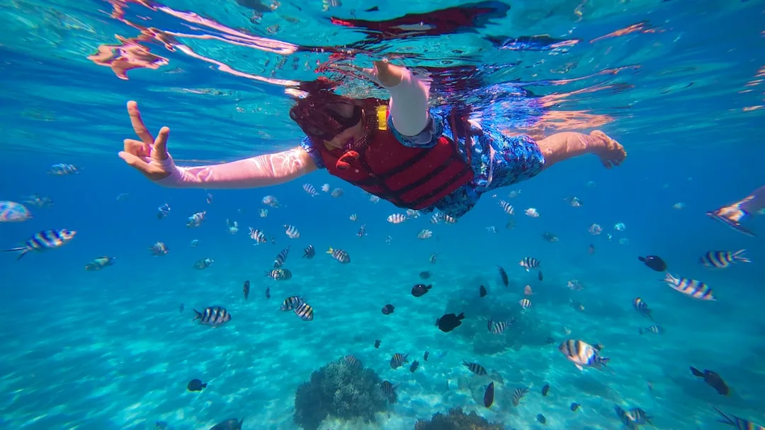 Tour Nha Trang Tự Túc vs Trọn Gói: Cái Nào Rẻ Hơn Thật Sự?